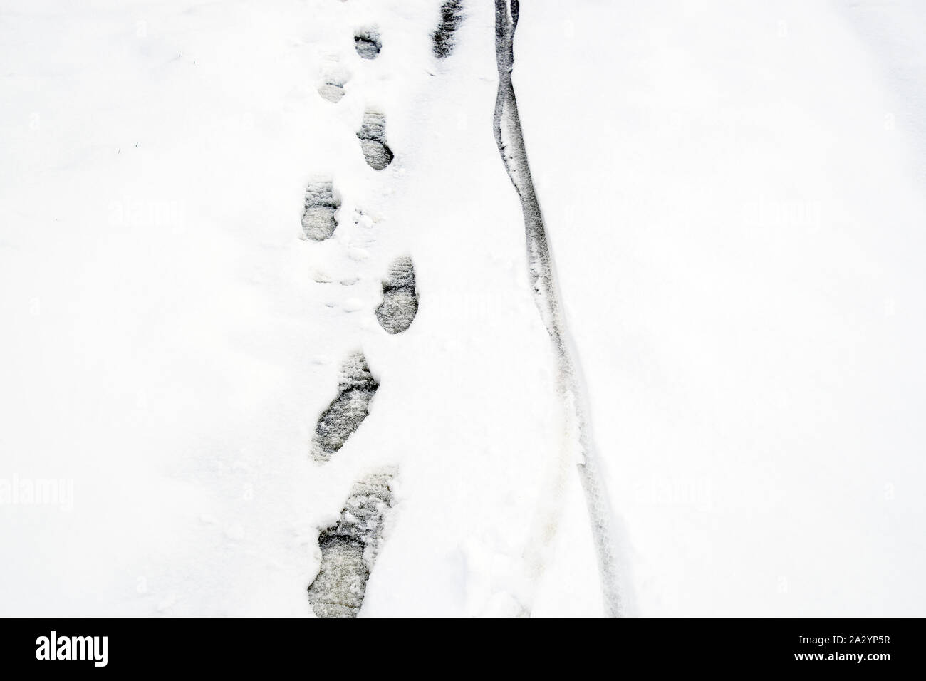 Human footprints in the snow. The path in the snow Stock Photo Alamy