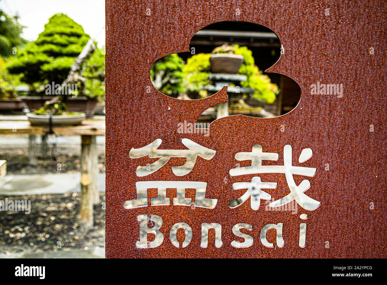 Bonsai Garden in Izu, Japan Stock Photo