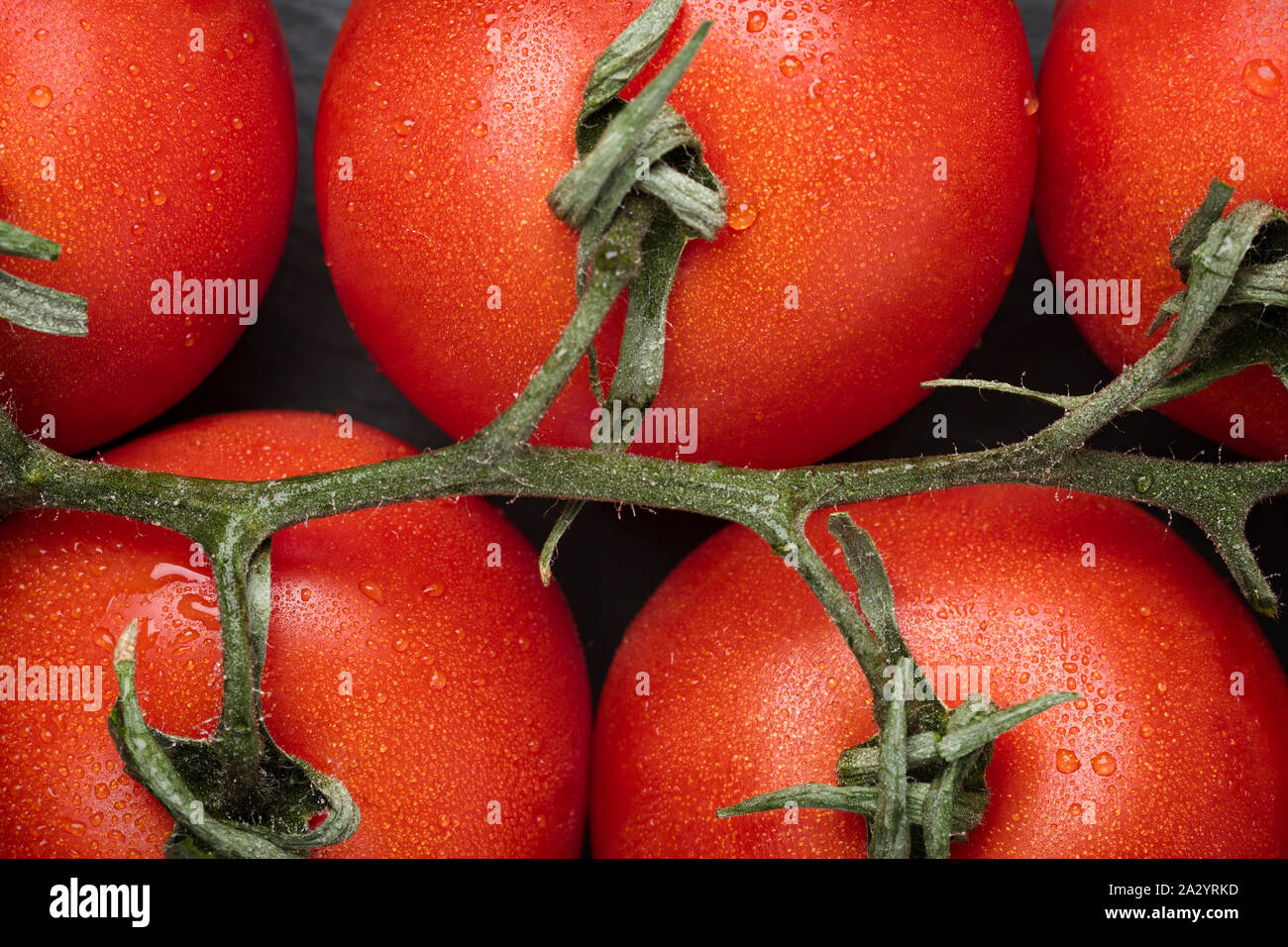 Closeup of ripe truss tomatoes Stock Photo Alamy