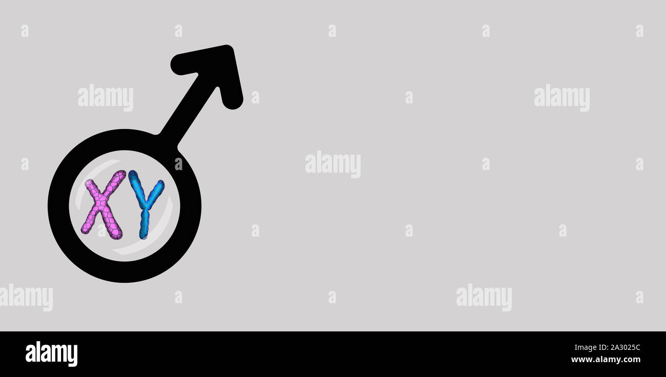 X and y human chromosomes hi-res stock photography and images - Alamy