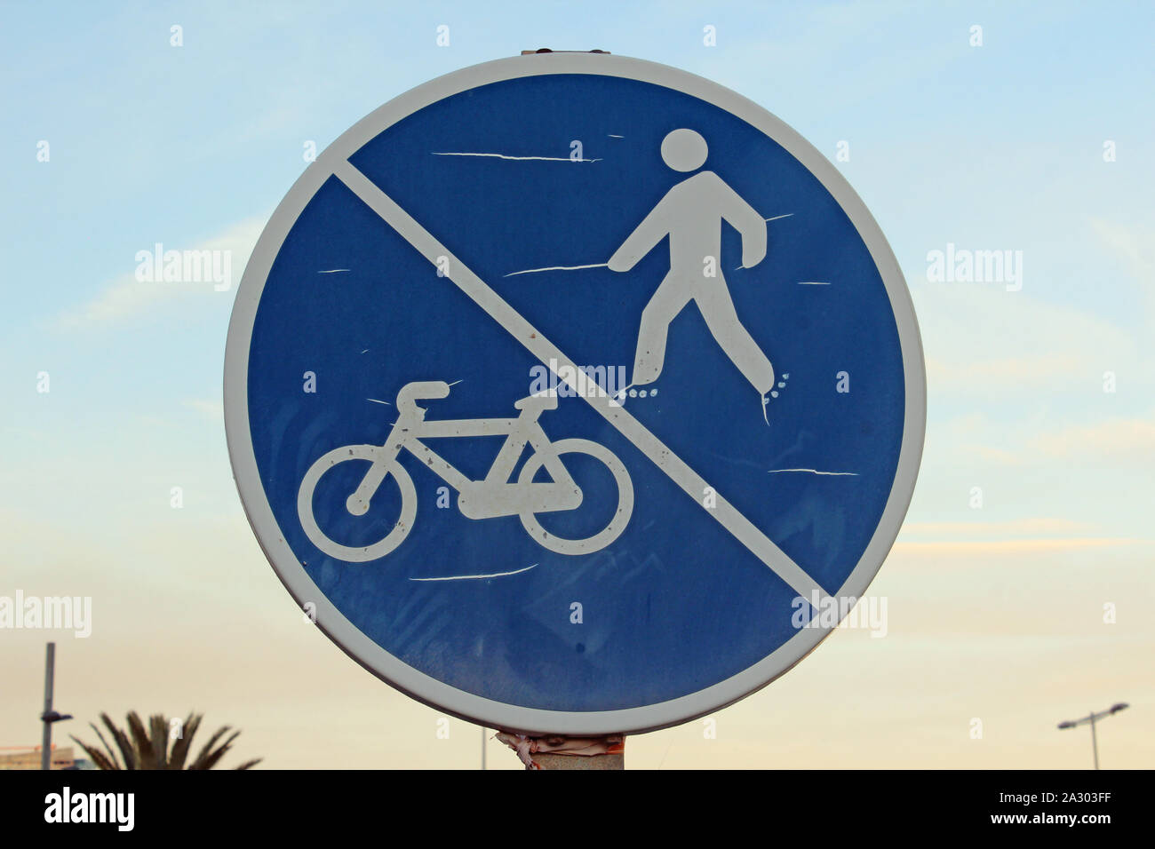 bluesky bicycles