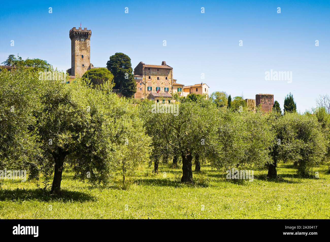 Medieval citadel of Vicopisano (Italy-Tuscany-Pisa). Vicopisano was fortified and the fortress was built in 1434 designed by the great architect Filip Stock Photo