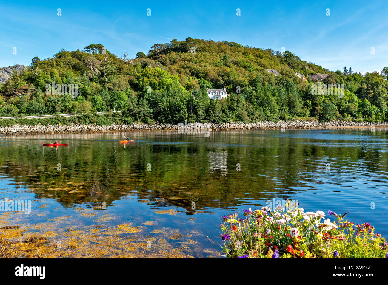 GAIRLOCH HARBOUR WESTER ROSS SCOTLAND SUMMER FLOWERS AND SEA CANOES Stock Photo
