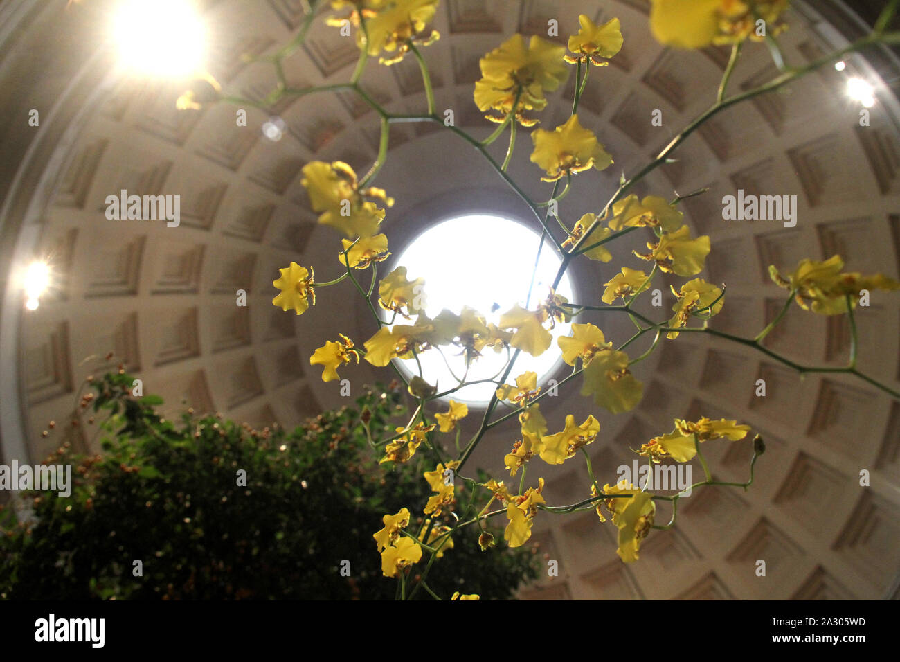 Oculus of the West Building dome in the National Gallery of Art, Washington DC, USA Stock Photo