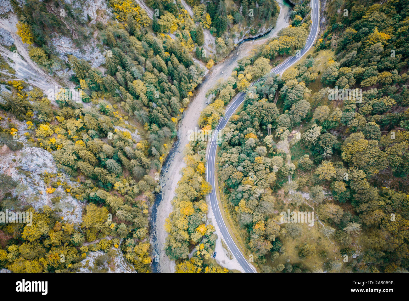 Road in the autumn forest aerial view made with drone Stock Photo - Alamy