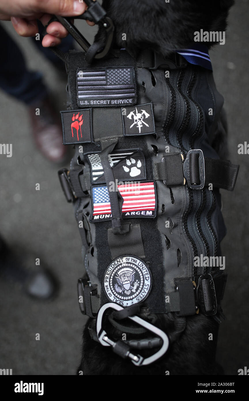 US Secret Service dog, Special Operations Canine, Hurricane, receives a