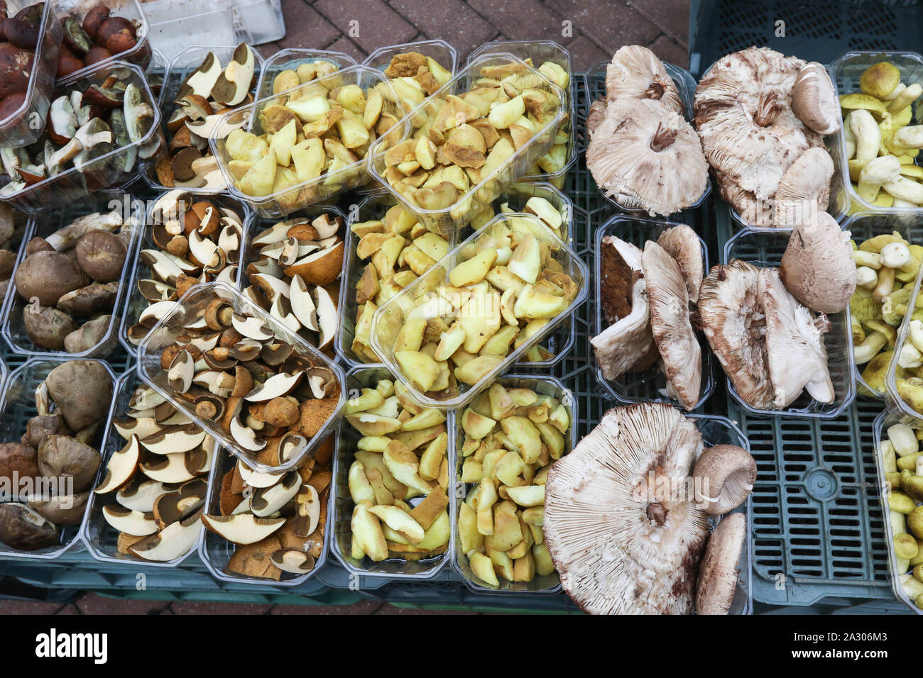 Sopot, Poland. 4th, October 2019 Mushrooms seller with penny buns (Boletus edulis), parasol mushrooms (Macrolepiota procera), bay boletes (Imleria badia) and other is seen on Green Market in Sopot, Poland on 4 October 2019 In recent days, Polish forests have been swarming with mushroom pickers. The favorable weather caused favorable conditions for the growth of a large number of edible mushrooms  © Vadim Pacajev / Alamy Live News Stock Photo