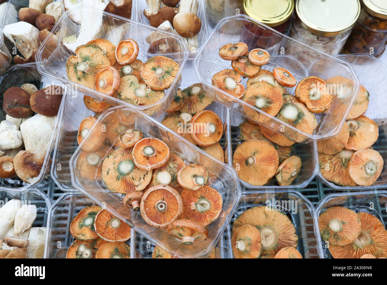 Sopot, Poland. 4th, October 2019 Mushrooms seller with Lactarius deliciosus (saffron milk cap and red pine mushroom) is seen on Green Market in Sopot, Poland on 4 October 2019 In recent days, Polish forests have been swarming with mushroom pickers. The favorable weather caused favorable conditions for the growth of a large number of edible mushrooms  © Vadim Pacajev / Alamy Live News Stock Photo