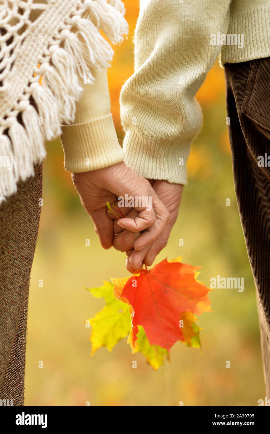 Couple holding hands together on background of park Stock Photo - Alamy