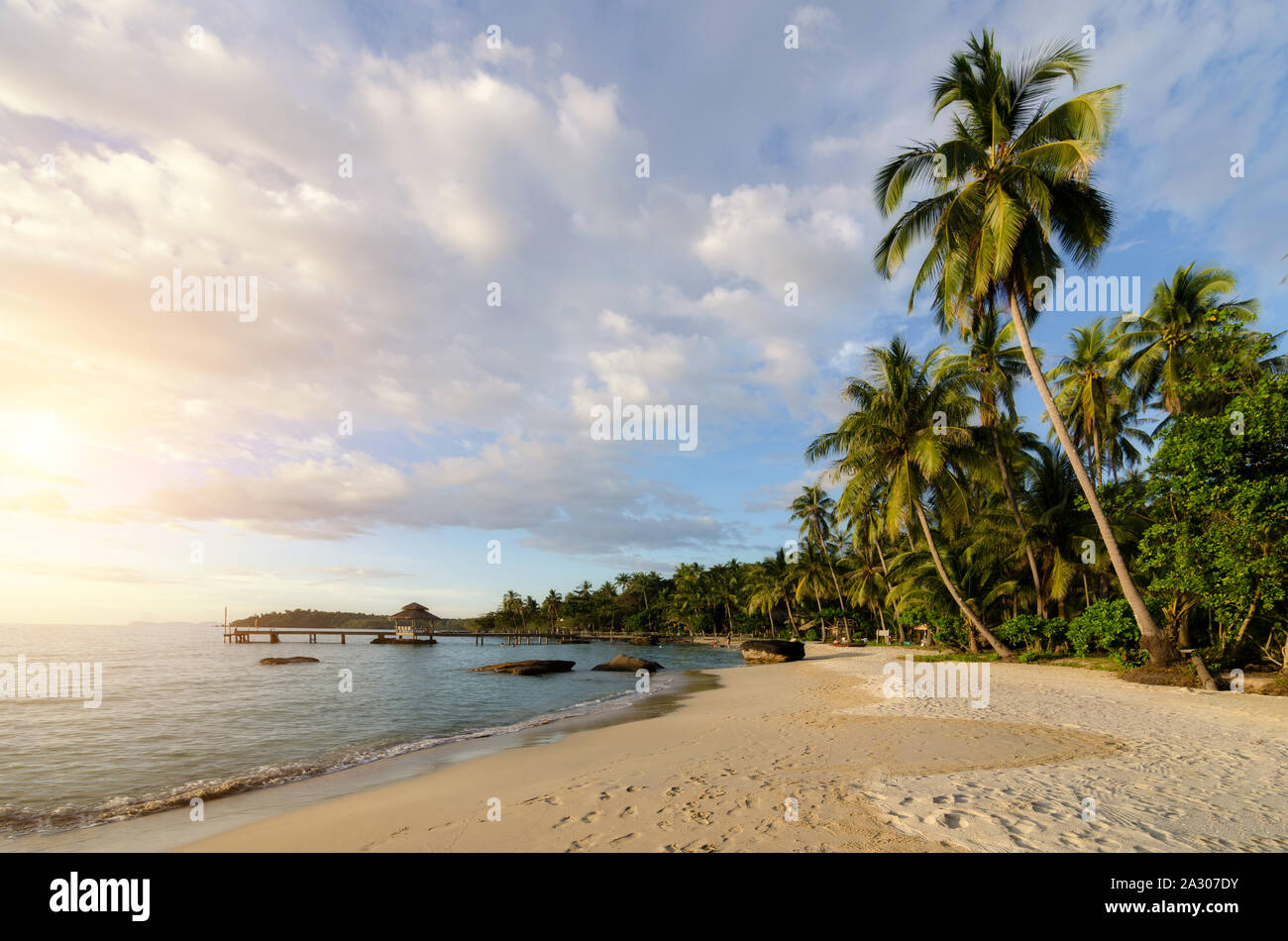 Tropical beach with sea wave and coconut palm trees and amazing cloudy sky on sunset at Phuket, Thailand. Summer, Travel, Vacation and Holiday concept Stock Photo