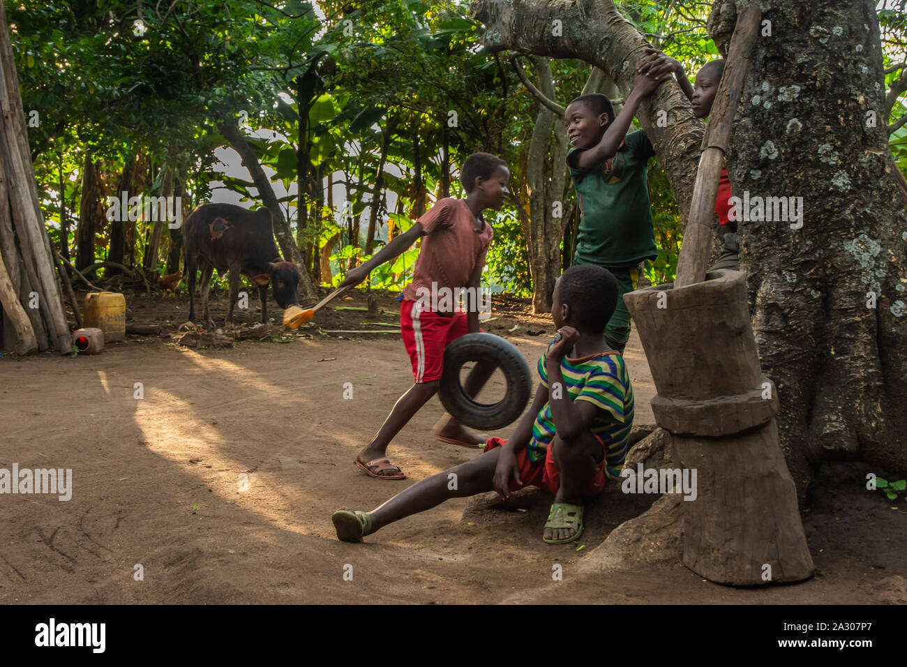 Jinka, Ethiopia - Nov 2018: Group of kids playing with the wheel next to the tree at a house yard Stock Photo