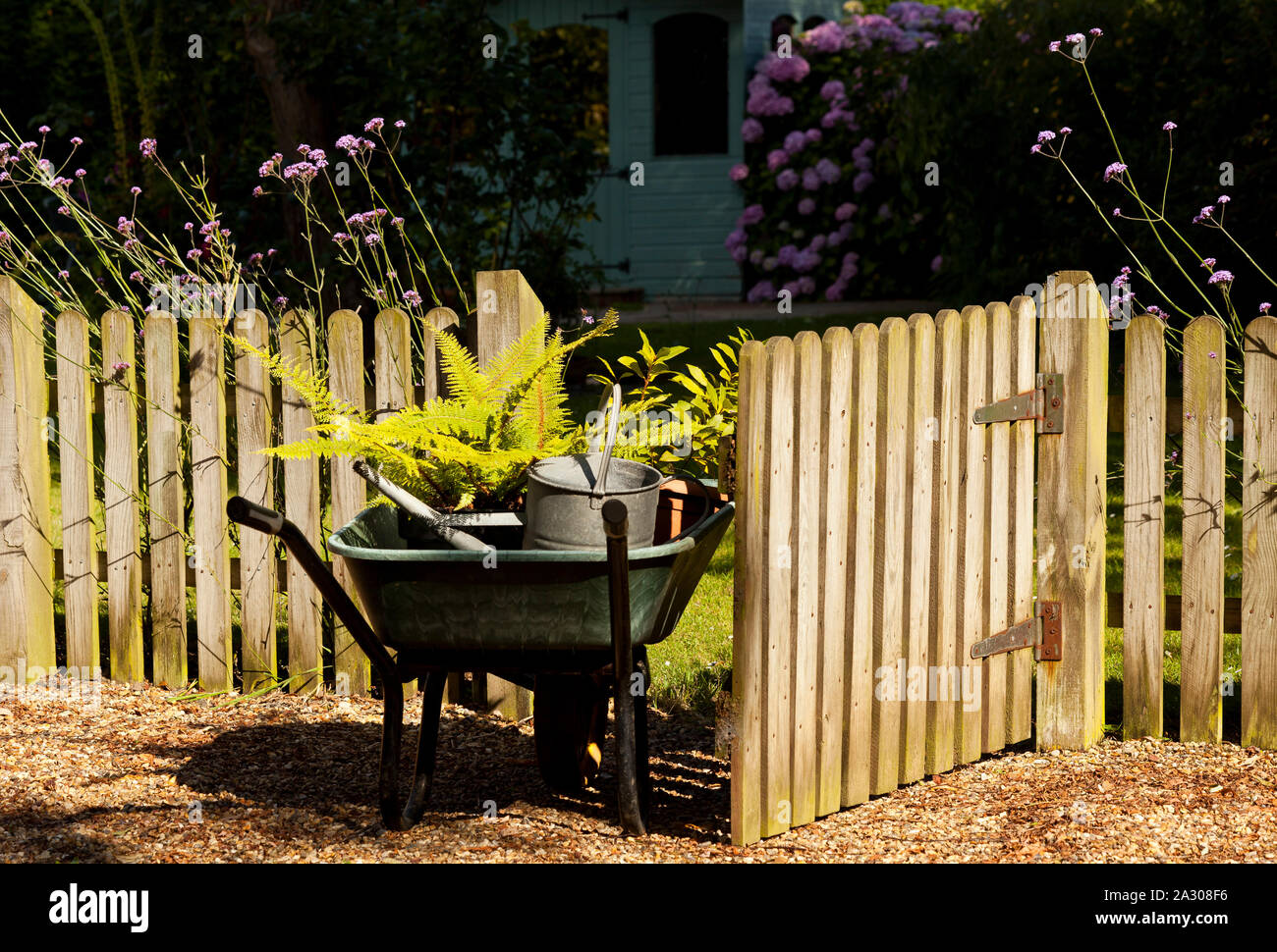 A wheelbarrow full of plants entering a garden through a wooden gate Stock Photo