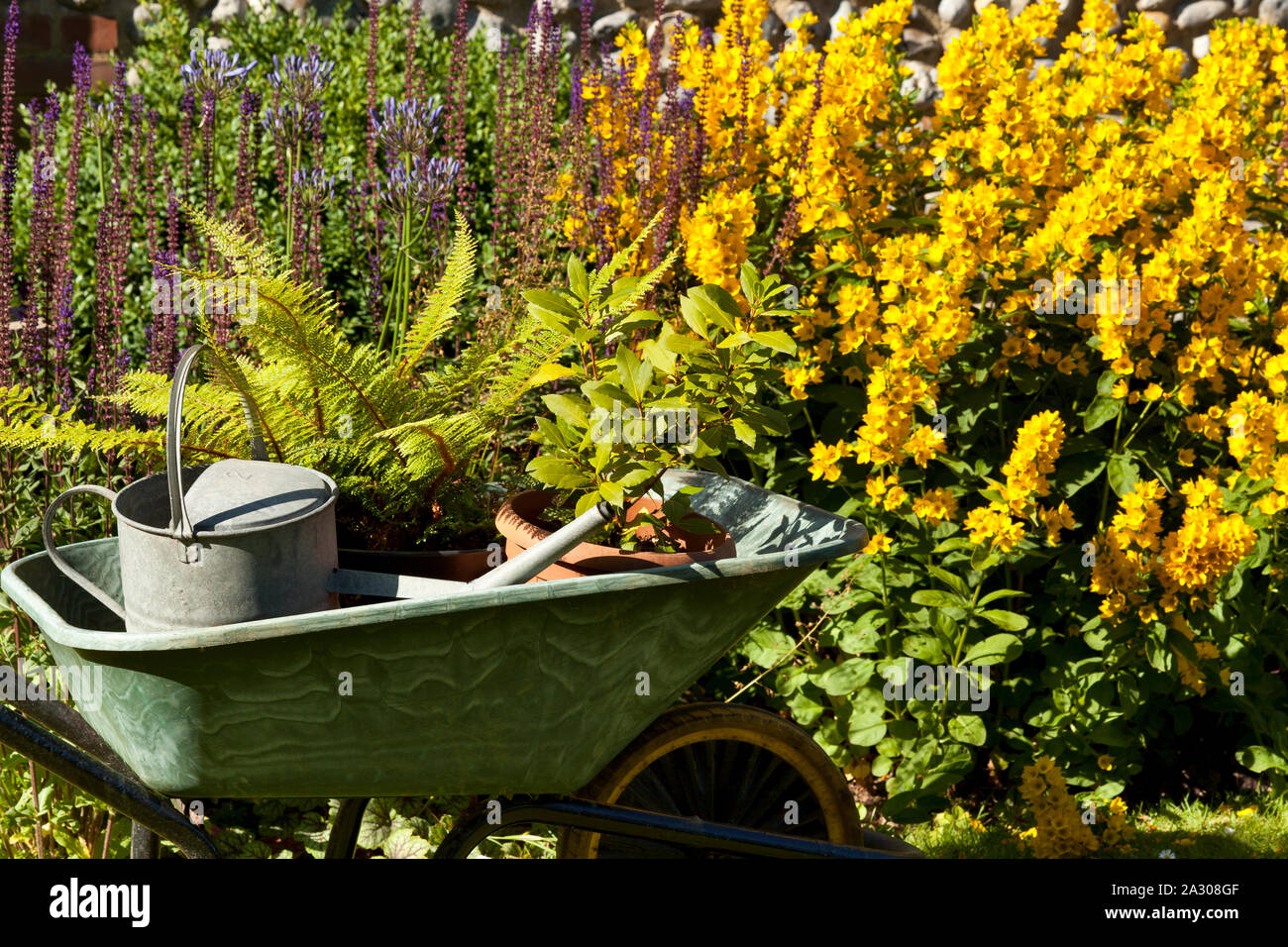 A wheelbarrow standing next to a flowering herbaceous border Stock Photo