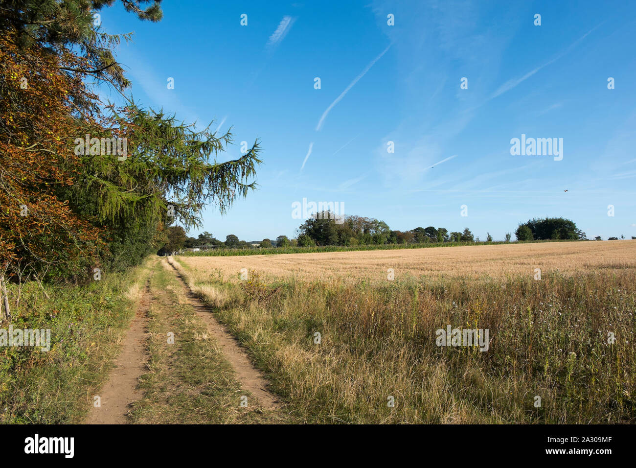 Wiveton hall hi-res stock photography and images - Alamy