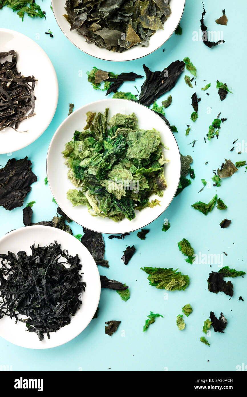 Seaweed, sea vegetables, shot from above on a blue background Stock Photo