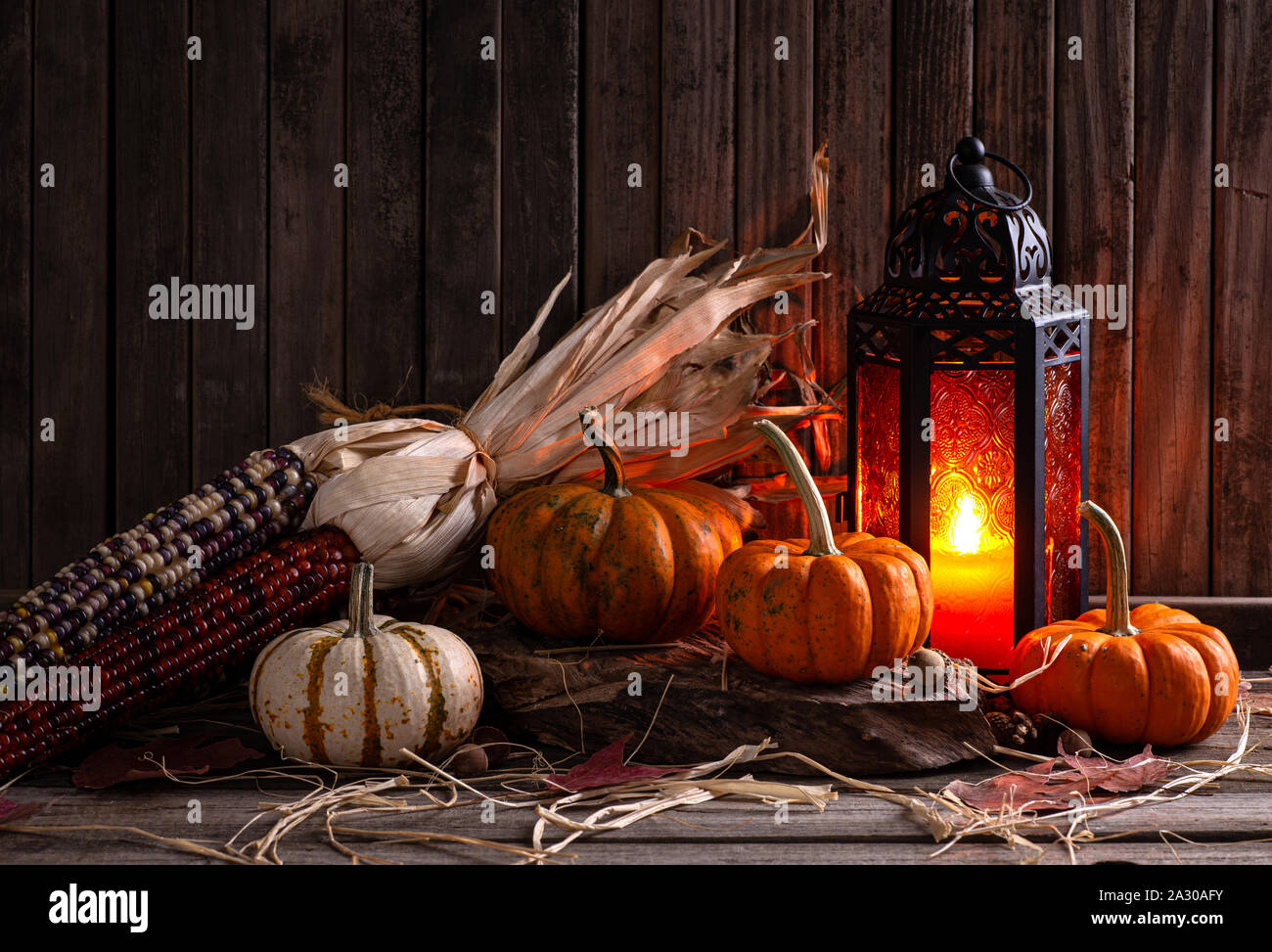 Mini pumpkins and indian corn with burning lantern on a rustic wooden ...
