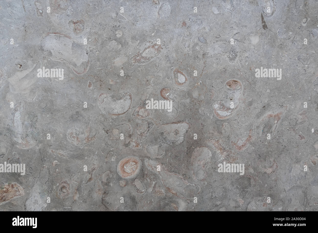 Smooth stone texture is gray-beige with cracks, spots. Stock Photo