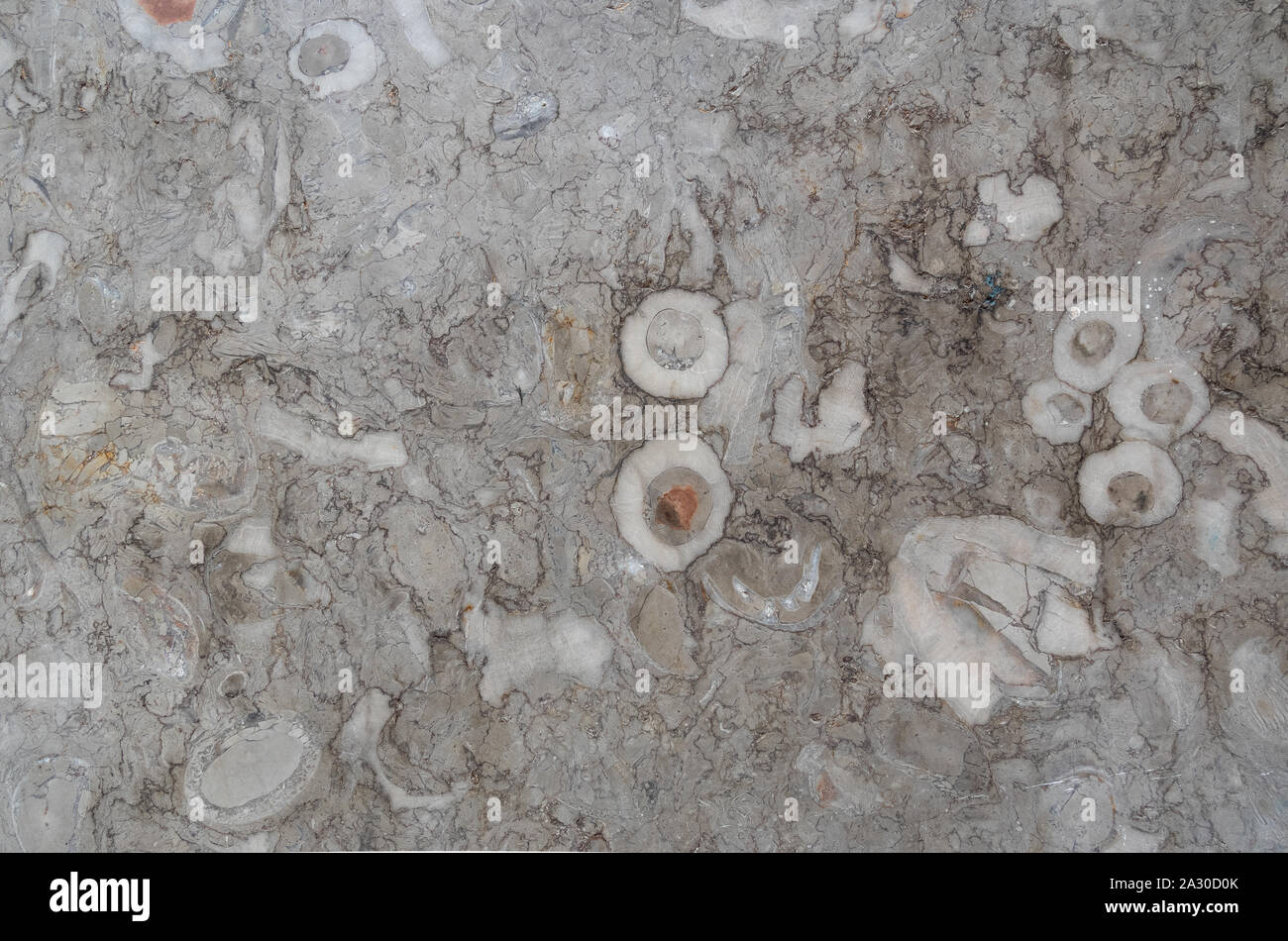 Smooth stone texture is gray-braun with cracks, spots. Stock Photo