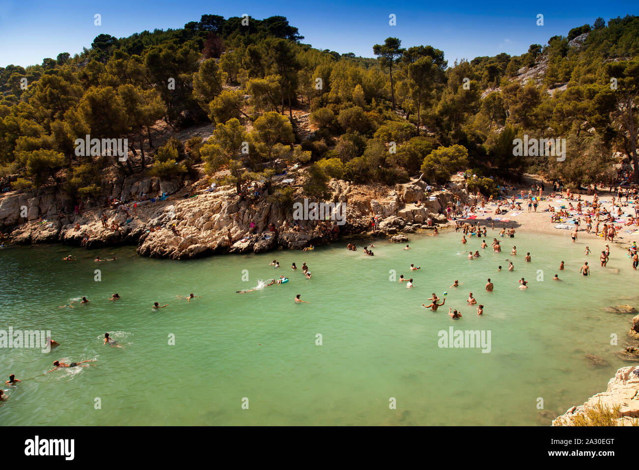 Badeurlauber am Strand in der Bucht Calanque de Port-Pin, Nationalpark Calanques, Cassis, Département Bouches-du-Rhône, Provence-Alpes-Côte d’Azur, Fr Stock Photo