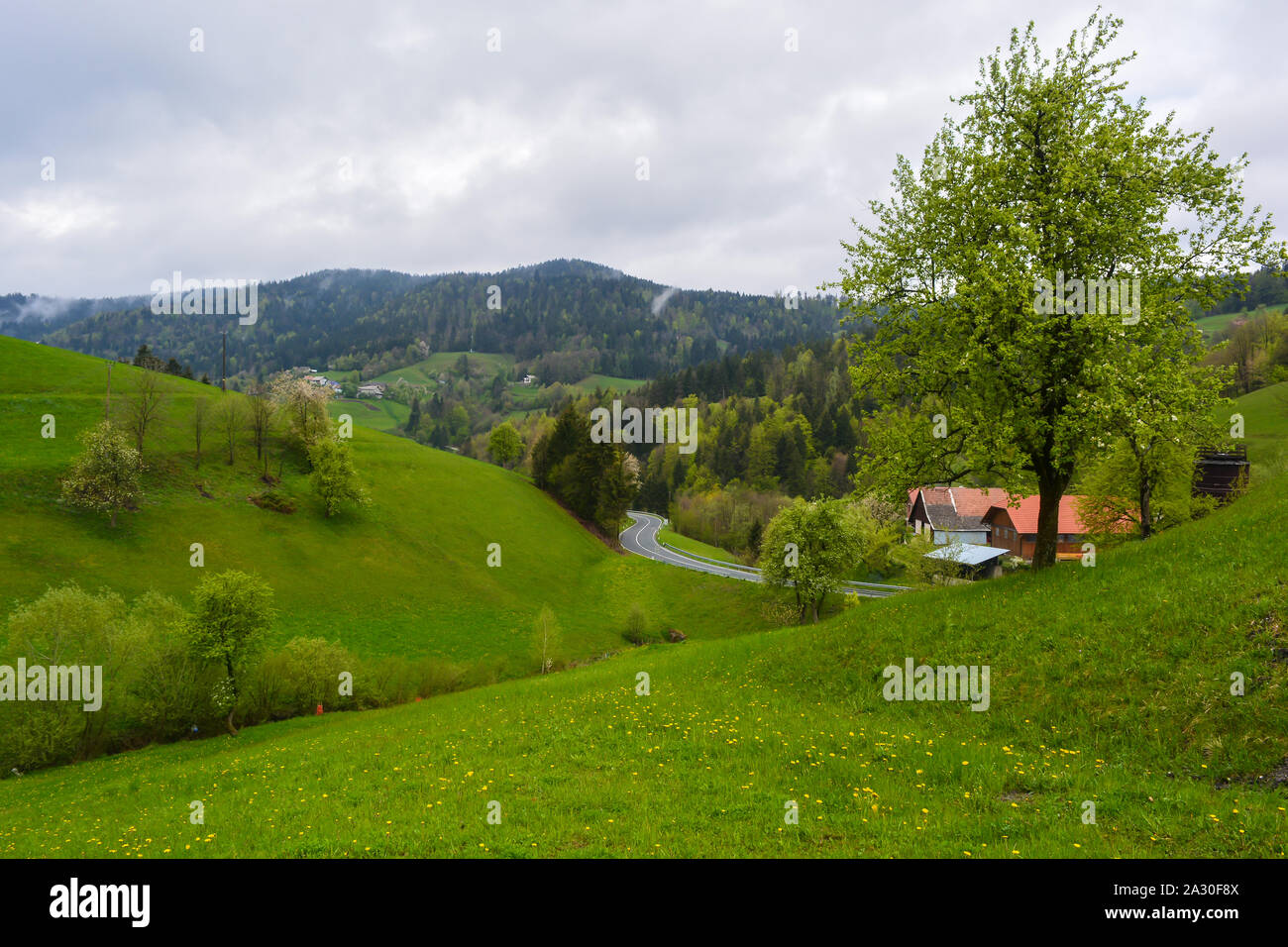 A very green panoramic scenery in a countryside, a forest view and an empty road on a cloudy spring day in the Alps of Slovenia, Europe Stock Photo