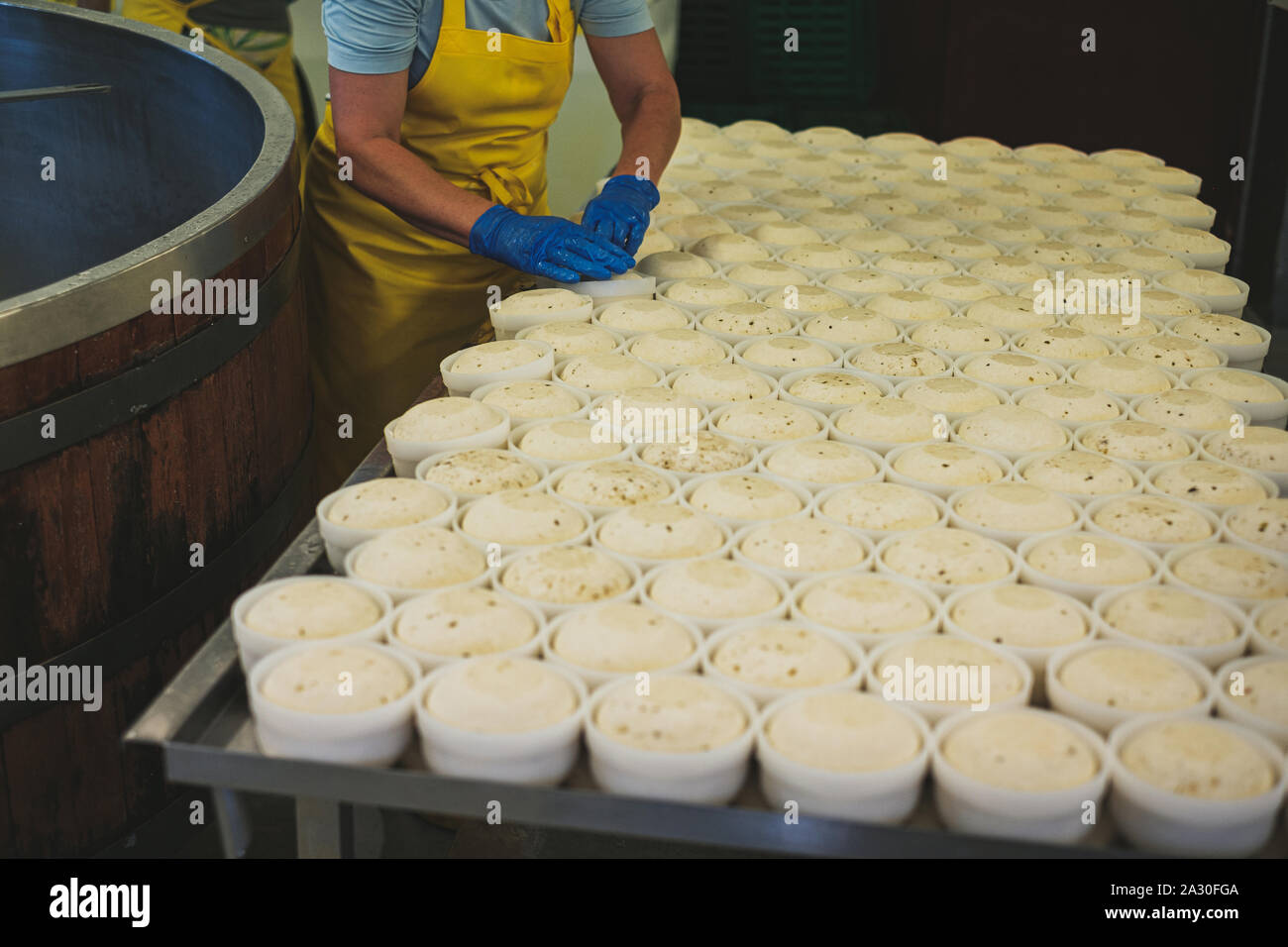 Cheesemaker forming product on a factory Stock Photo Alamy