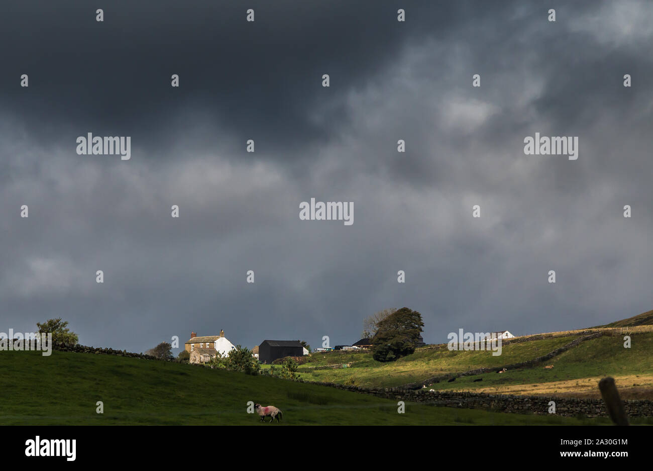 Greenhills Farm, Harwood, Upper Teesdale in Dramatic Light Stock Photo