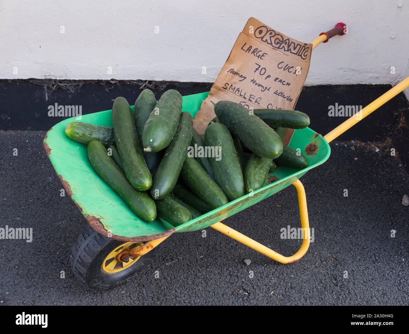 Organic cucumbers for sale in a toy wheelbarrow at Bishop's Castle Michaelmas Fair, Shropshire, England, UK Stock Photo