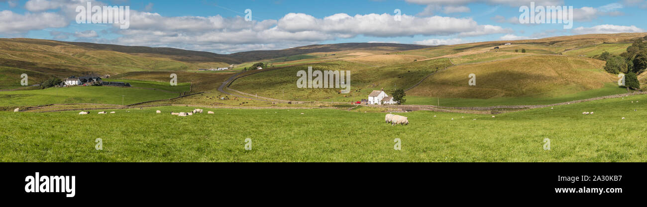 Upper Harwood from Lingy Hill, Upper Teesdale, UK Panorama Stock Photo