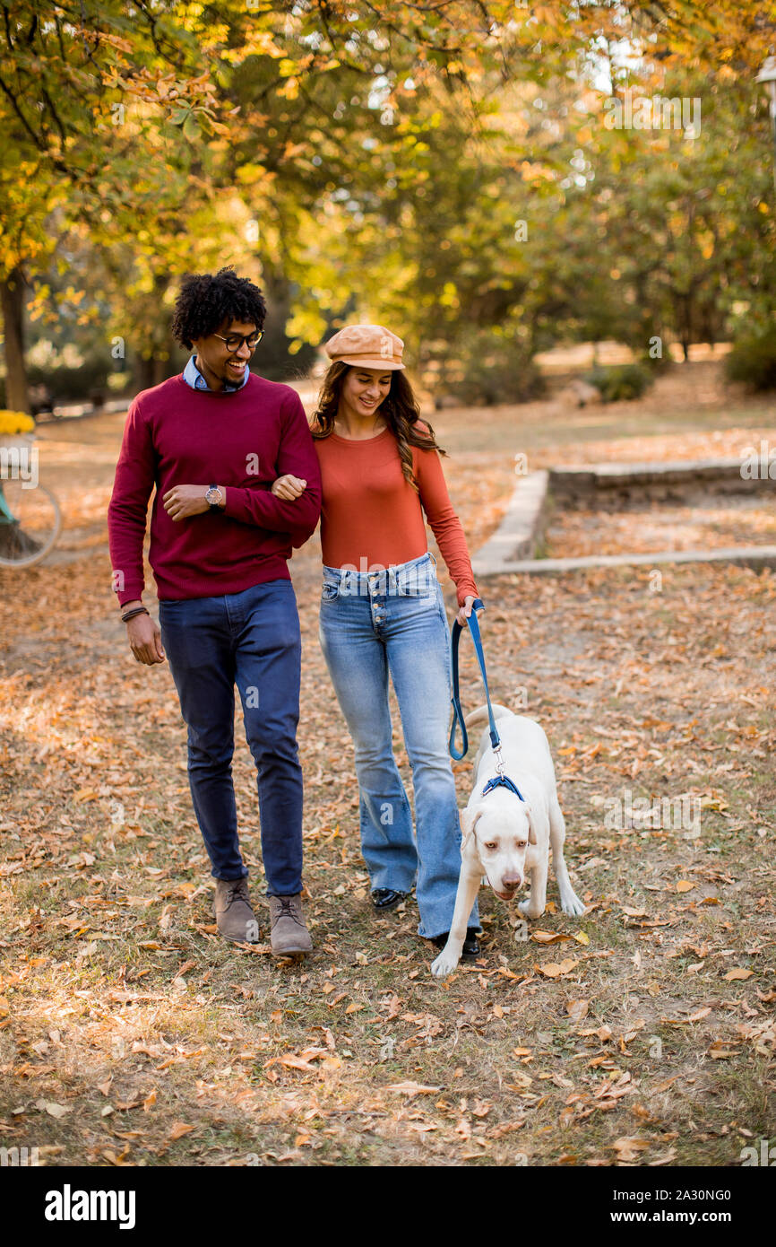 Multiracial young couple walking with dog in autumn park Stock Photo ...