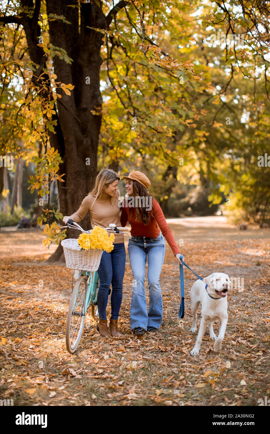 Two young female friends walking in the yellow autumn park with dog and bicycle Stock Photo