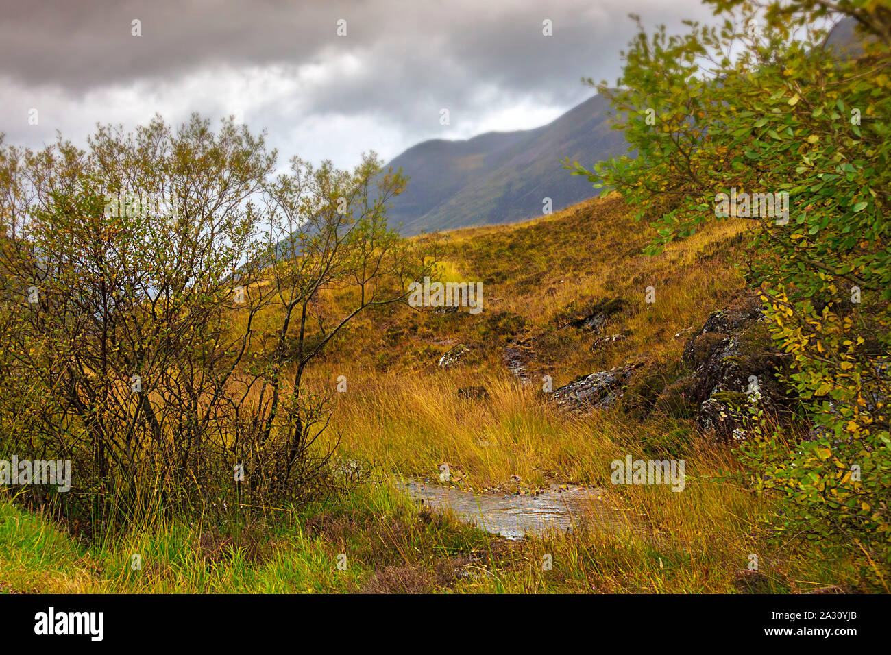 Autumn in Scottish Highlands Stock Photo