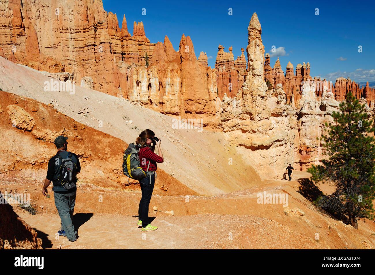 Female hiker taking a picture on the Queens Garden trail, Bryce Canyon National Park, Utah, USA. Stock Photo