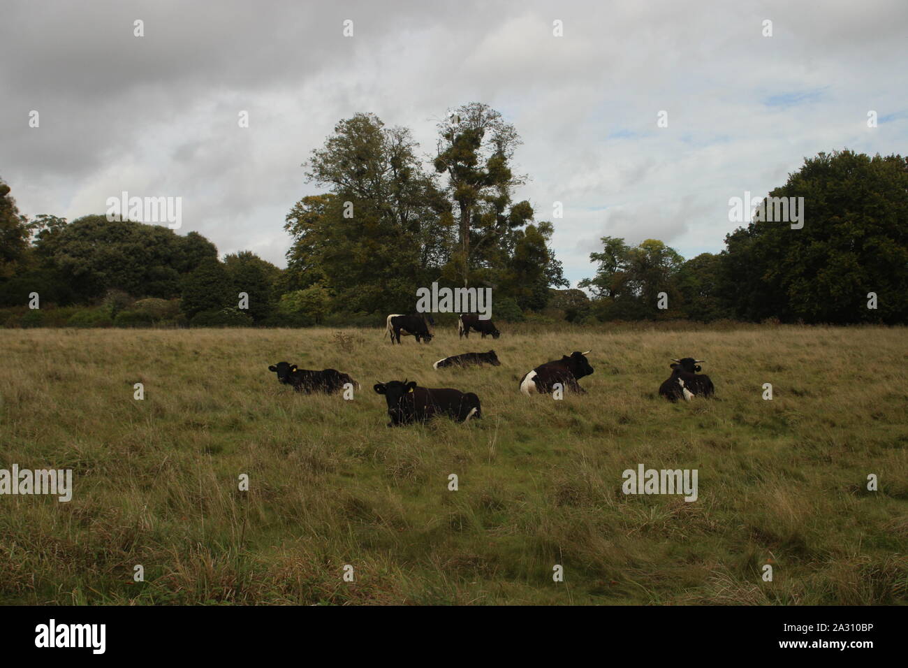 Is it going to rain or not Stock Photo Alamy