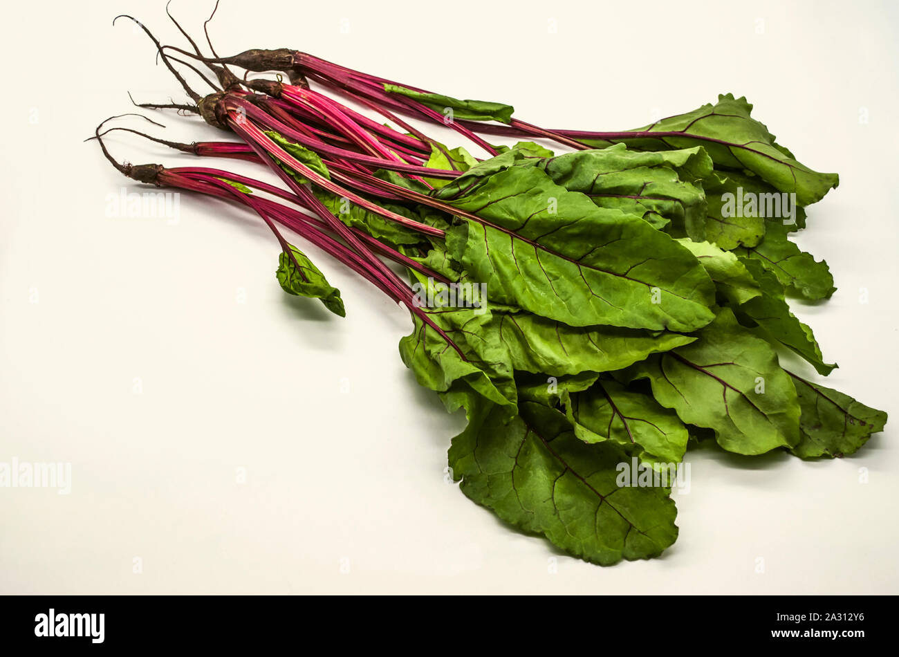 Edible red beet shoots with large green leaves and maroon streaks on a