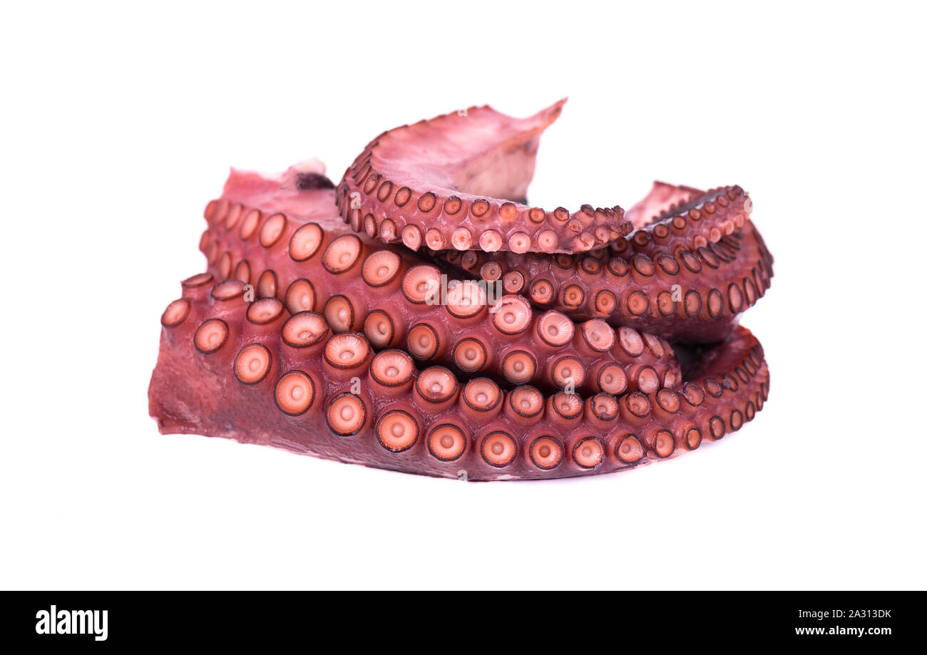 Boiled octopus isolated on white background. Boiled octopus tentacles