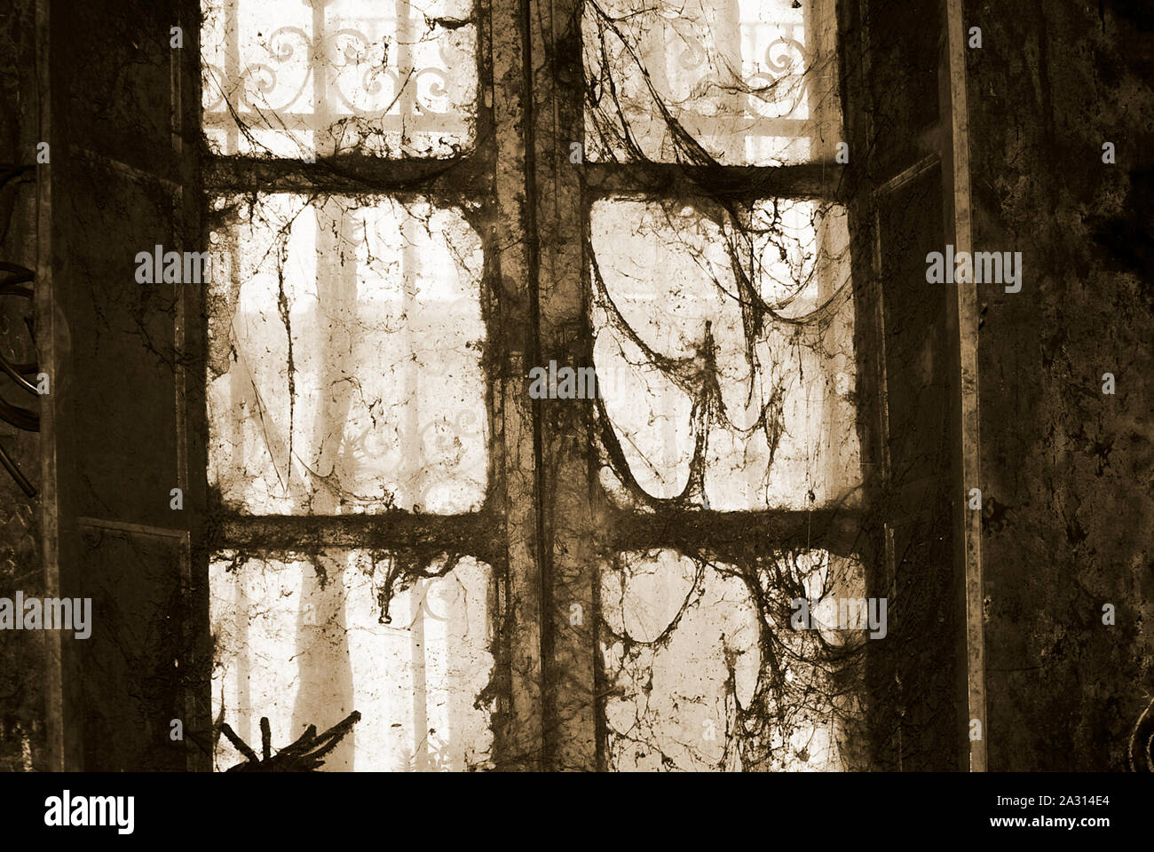 an ancient mechanical workshop full of cobwebs Stock Photo