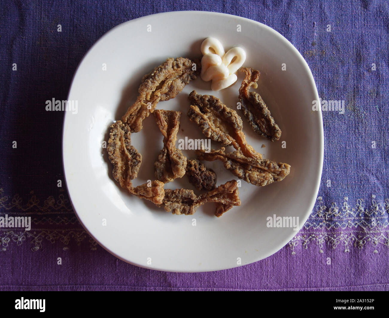 Coated and lightly fried Indiana wild morel mushrooms with dollop of mayonnaise presented on plate, Indiana, USA, July 30, 2019, © Katharine Andriotis Stock Photo