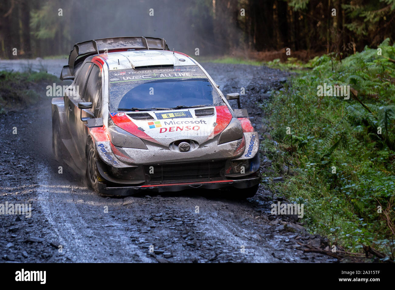 Penmachno, Conwy, UK. 4th Oct, 2019. WRC Wales Rally GB, Stage 7; Toyota Gazoo Racing WRT driver Ott Tanak and co-driver Martin Jarveoja in their Toyota Yaris WRC - Editorial Use Credit: Action Plus Sports/Alamy Live News Stock Photo