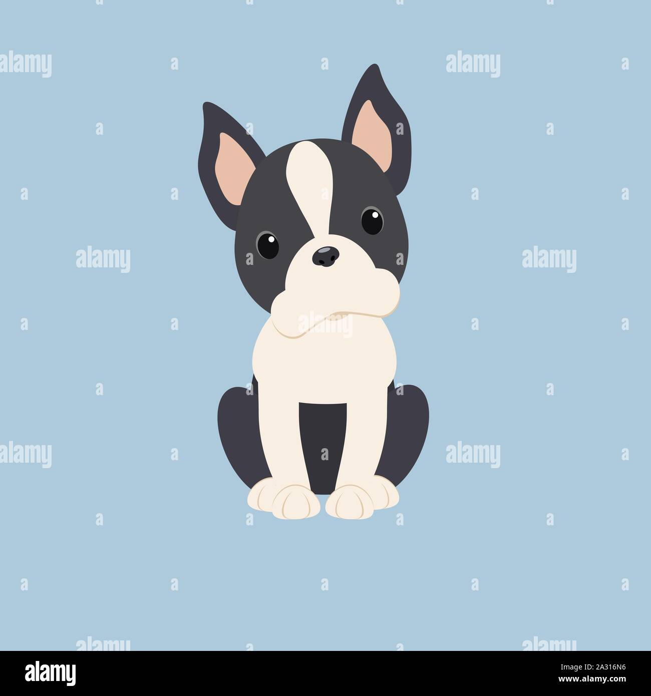 Boston Terrier dog breed vector. Doodle nice doggie pet vector. Stock Vector