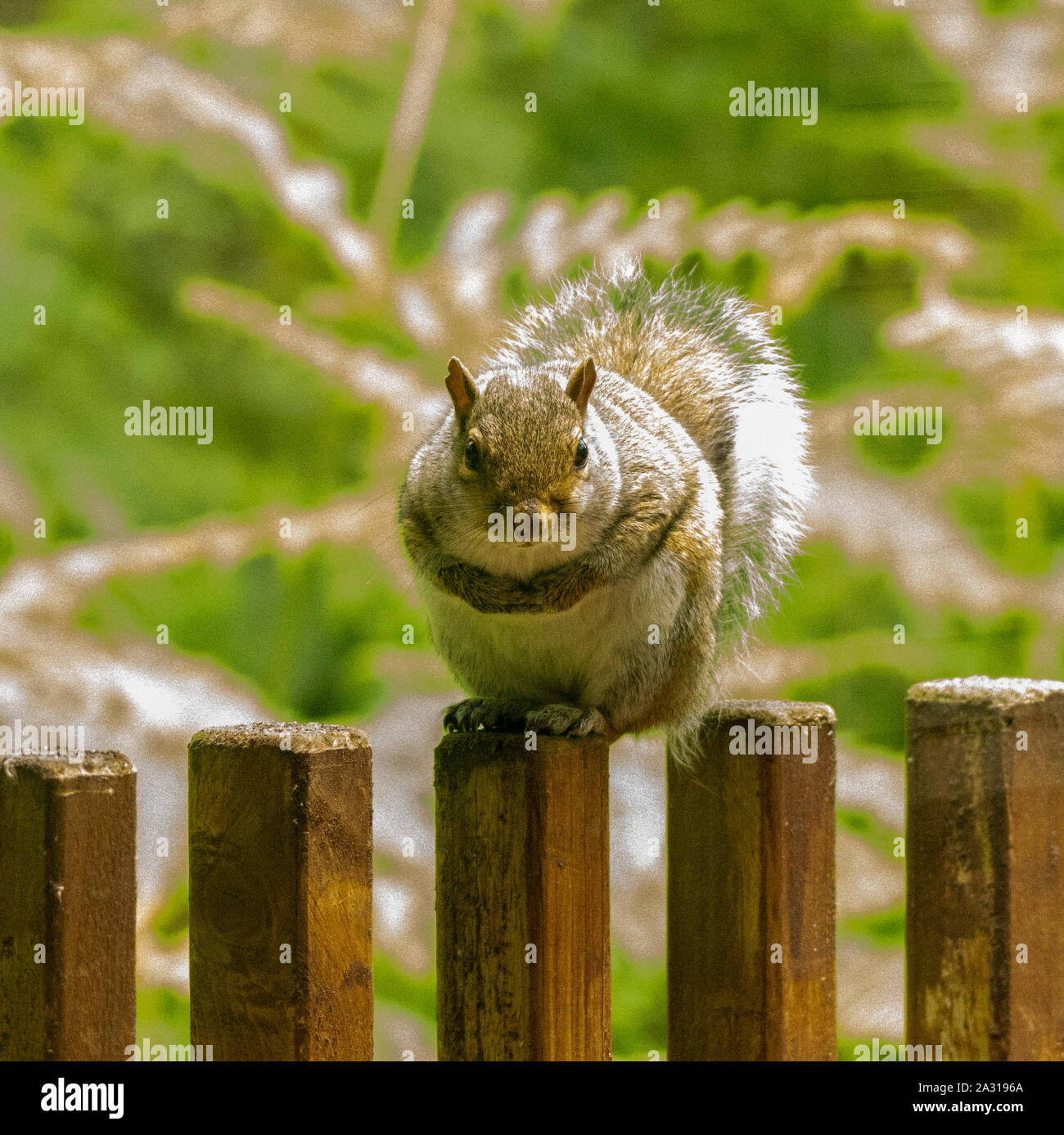 My Image 26