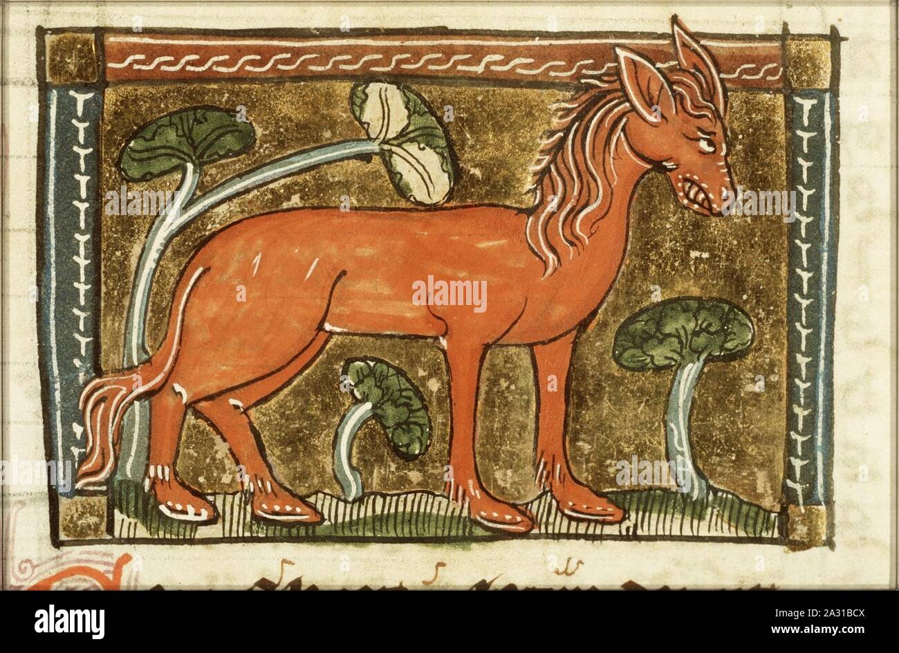 Equus (horse) - Der naturen bloeme - Jacob van Maerlant - KB KA 16 ...