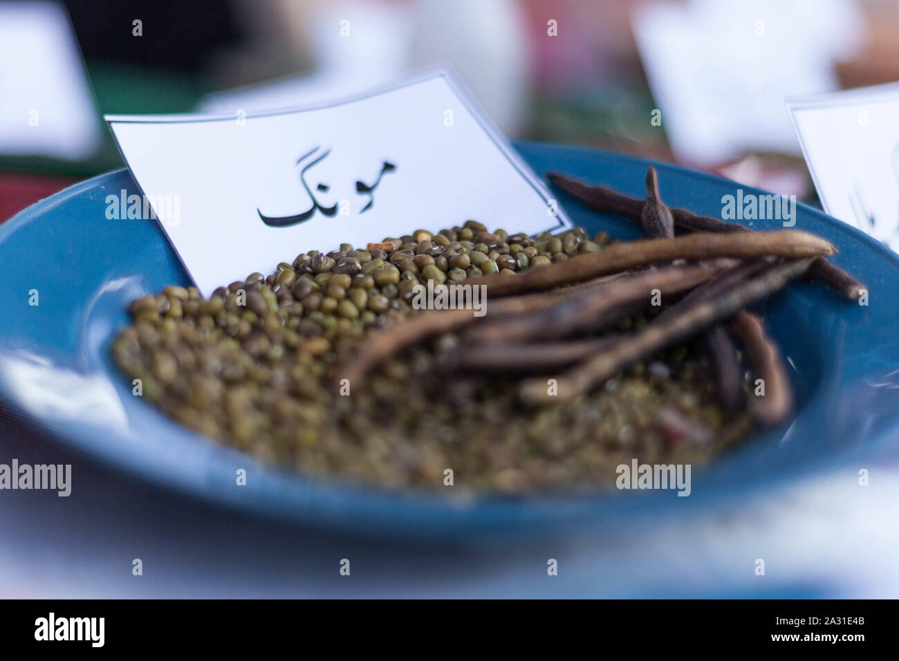 The mung bean, alternatively known as the green gram, maash, or moong, is a plant species in the legume family. Stock Photo