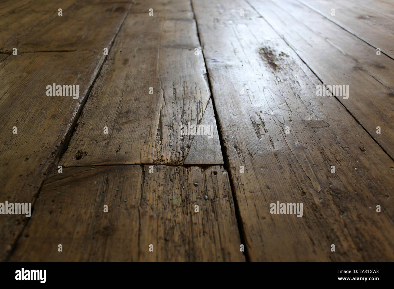 Old elm floorboards, repaired and restored, in a listed building. Stock Photo