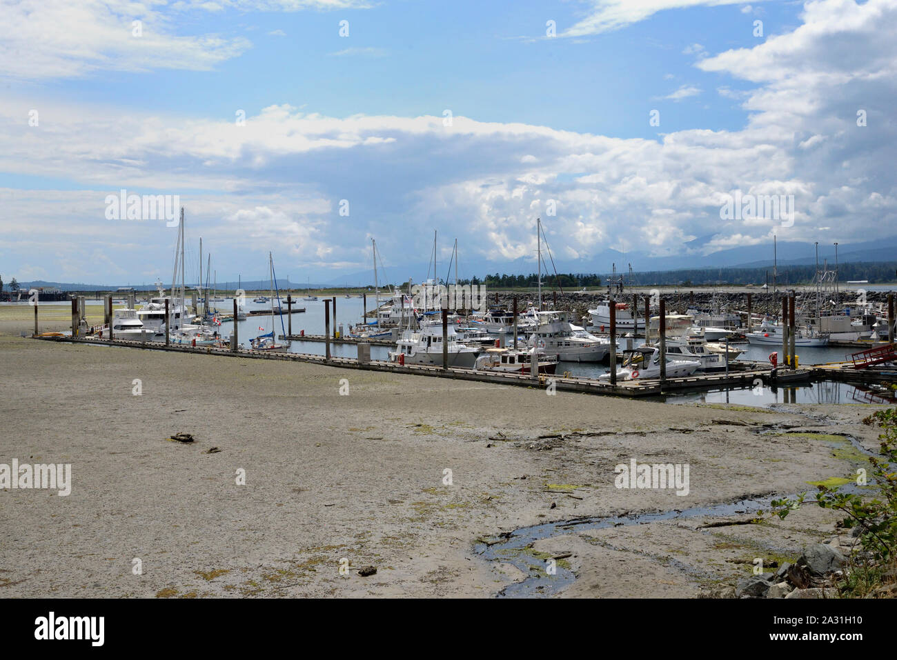 Low tide at Comox Marina, Vancouver Island, British Columbia, Canada Stock Photo