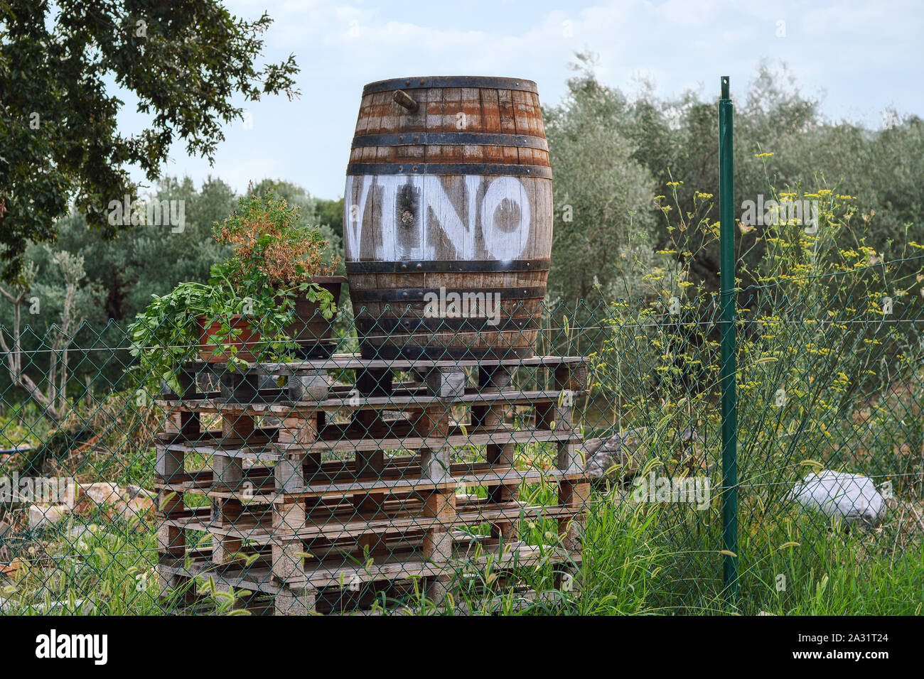 View of the barrel with the inscription Wine, standing on a stack of pallets. The construction is used as a pointer. Stock Photo