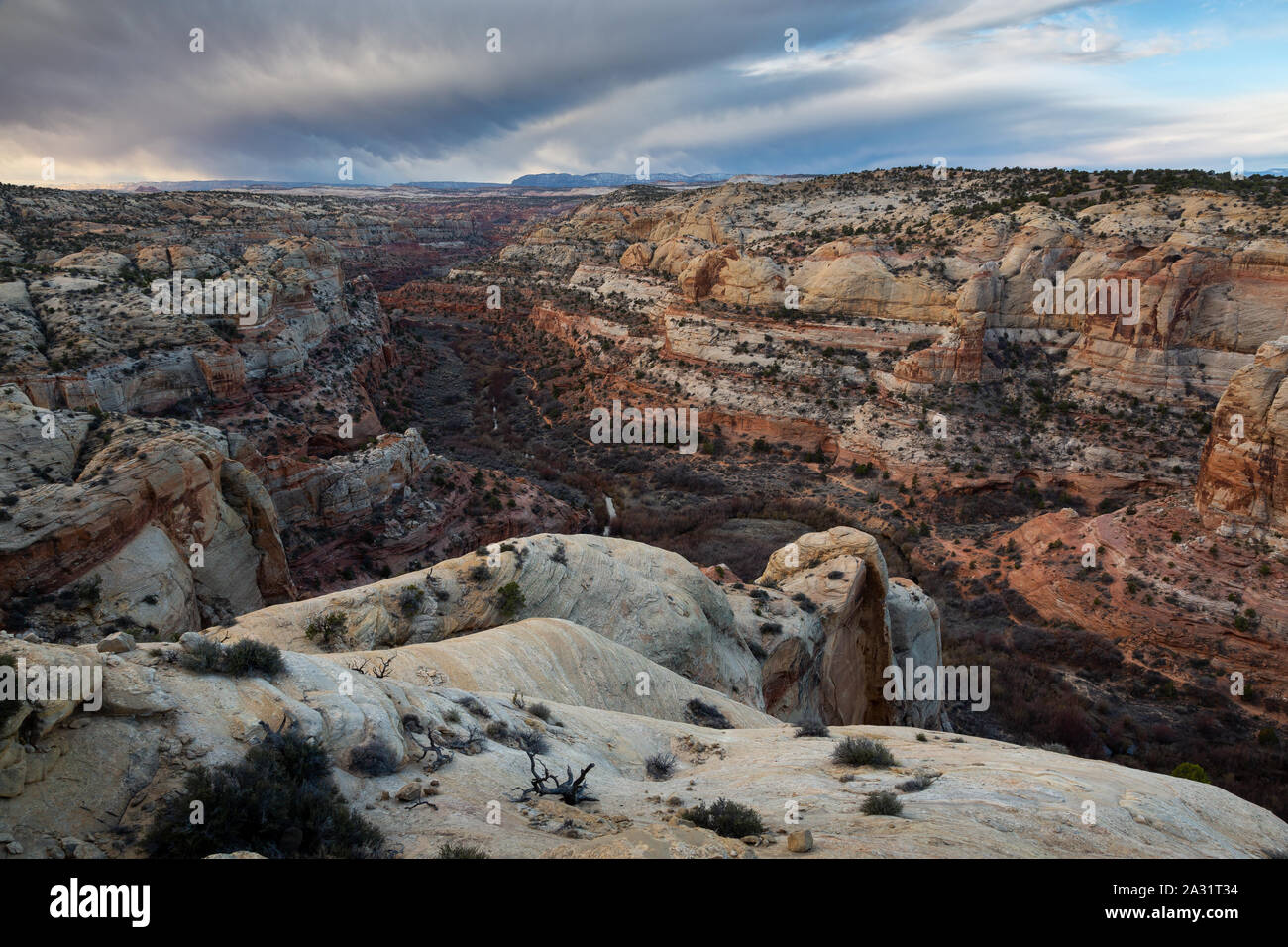 Calf Creek flowing below sandstone canyon rims and stormy weather ...