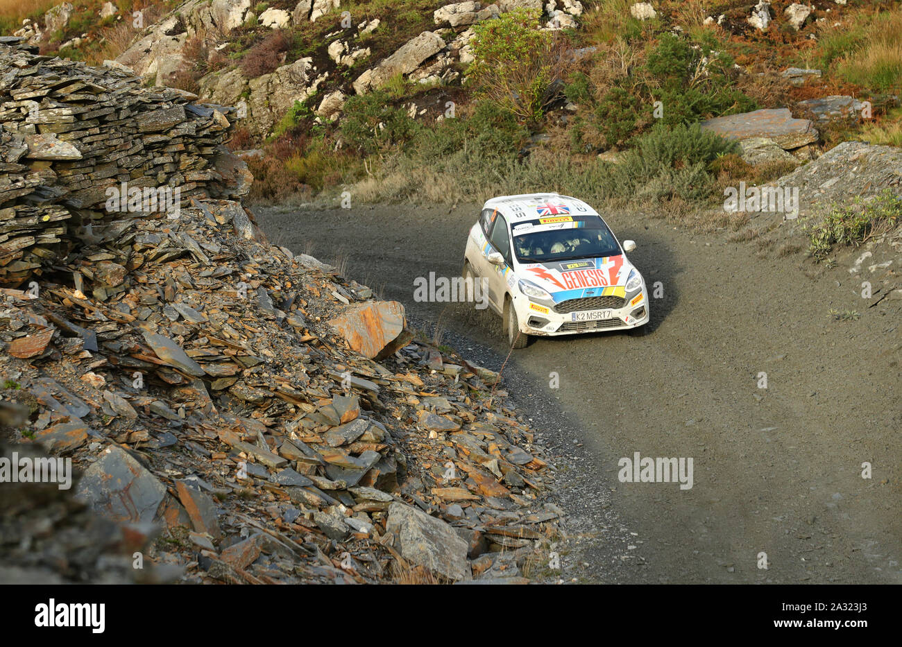 Great Britain’s Tom Williams and Phil Hall in the Ford Fiesta R2 during day two of the Wales Rally GB. Stock Photo