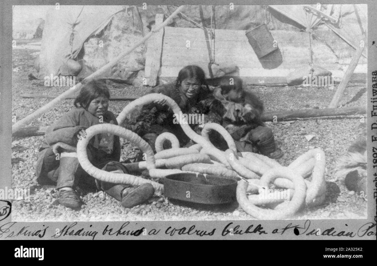 Eskimos shading behind a walrus blubber at Indian Point Stock Photo - Alamy