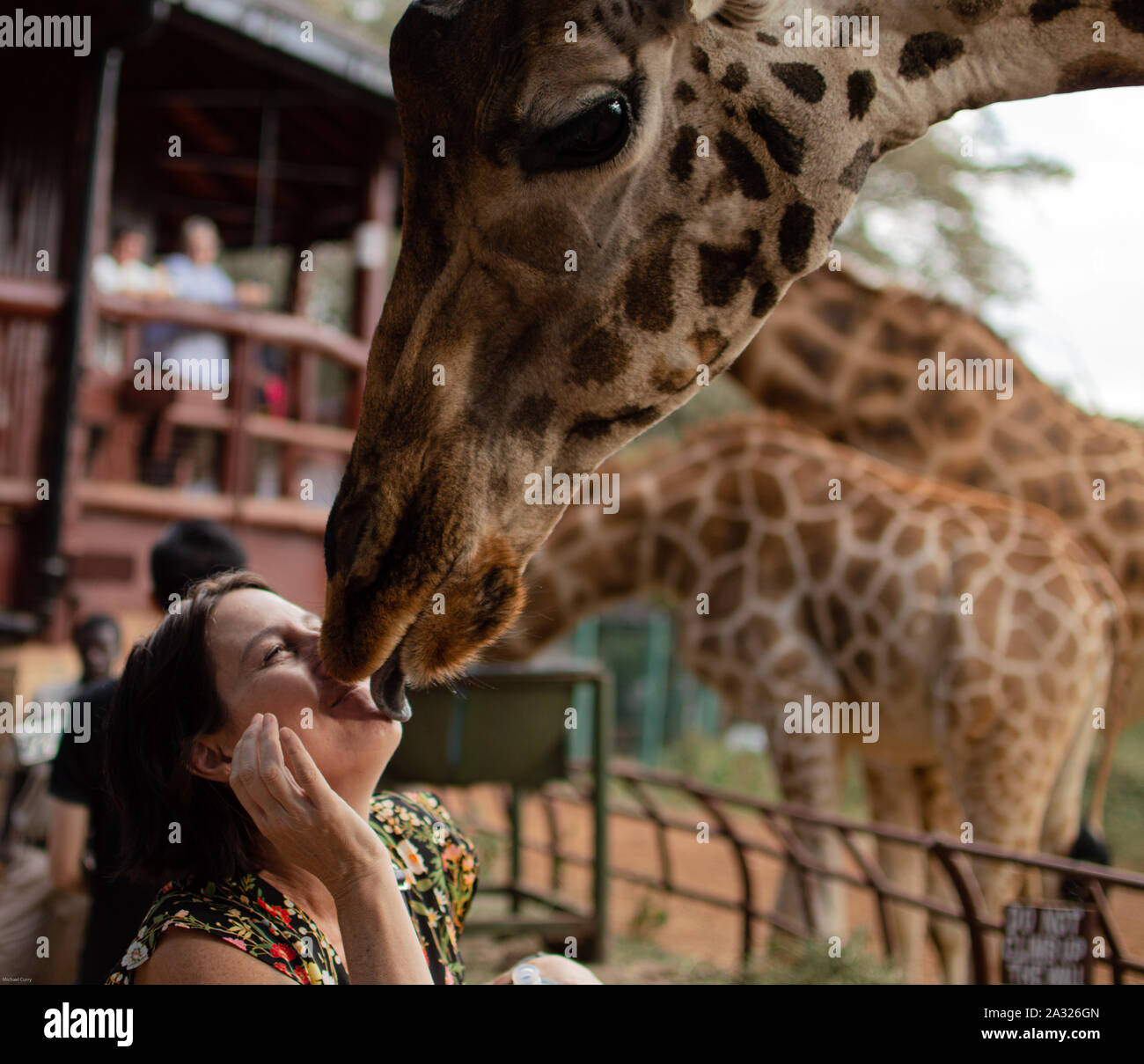 It must be love Stock Photo