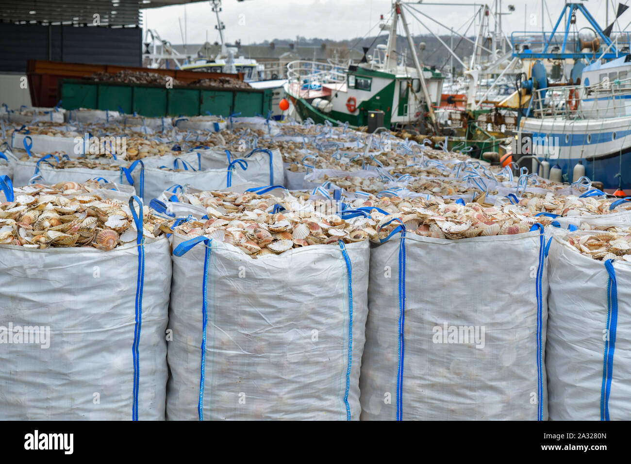 Bags with empty scallop shell for processing and boats for catching scallops Stock Photo